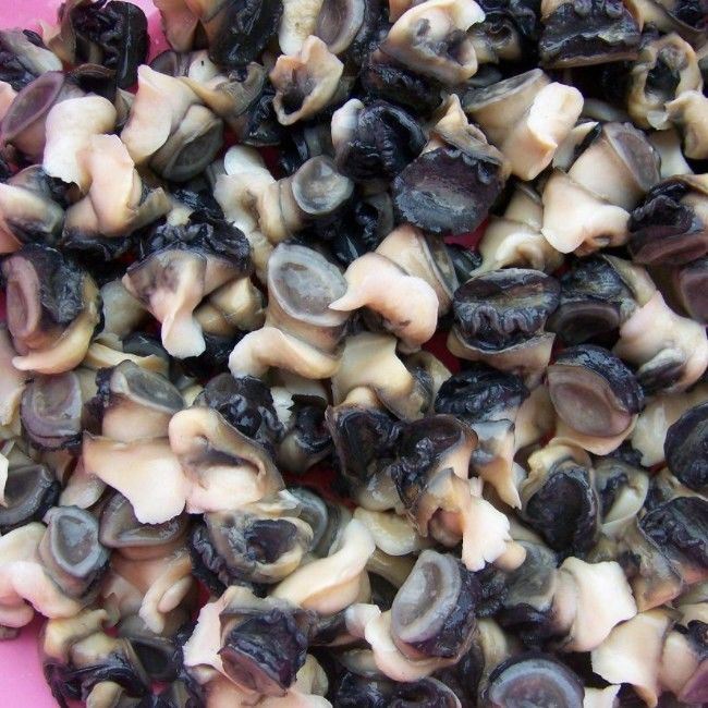 棠鲜生 手工挑选淡水洪泽湖新鲜田螺肉螺蛳肉螺丝肉现抓 2斤装