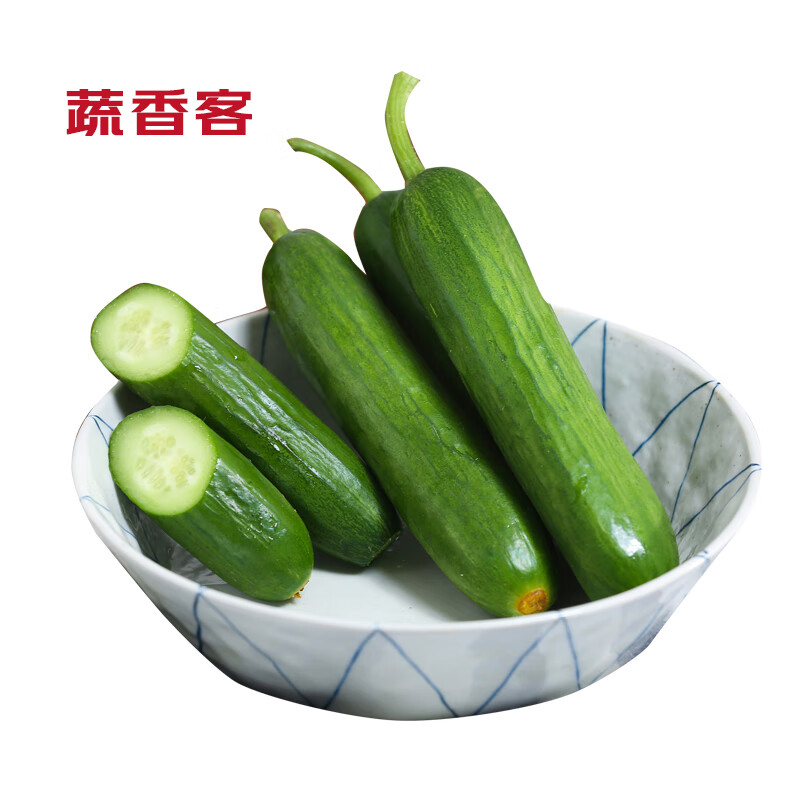 蔬香客水果黄瓜 5斤装 新鲜蔬菜 无刺小黄瓜 健康轻食 寿光蔬菜源头直发