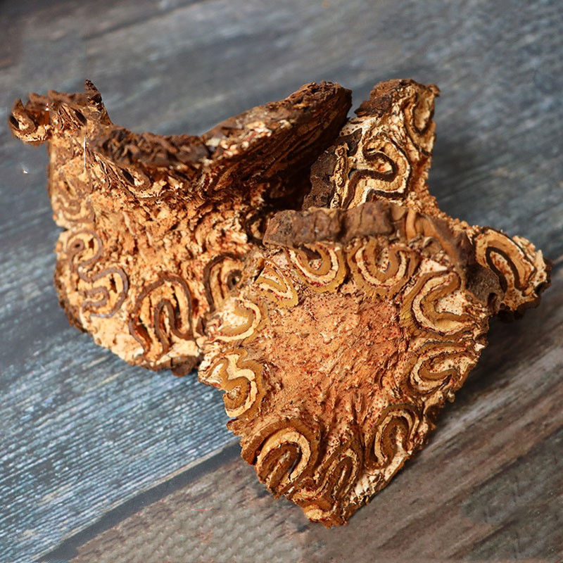 广西野生龙骨风500克g大贯众飞天擒罗飞天蠄蟧泡酒料煲汤料中药材