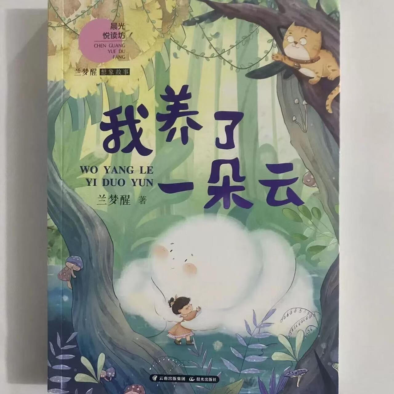 猫咪森林不爱怎么办营地里的神秘脚印北上的