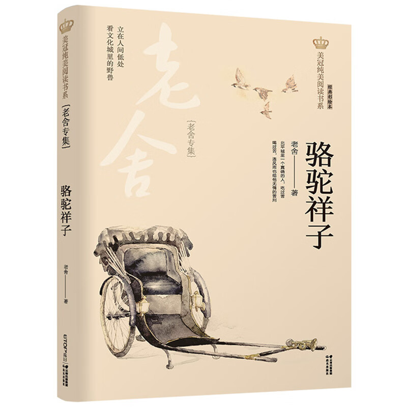 三四五六七八年级课外插画版经典儿童文学故事书原著全集 骆驼祥子