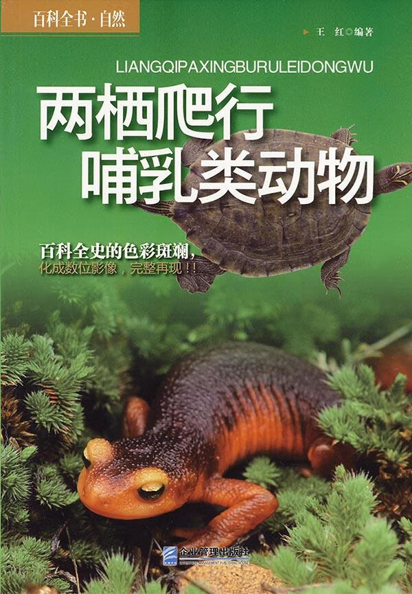 两栖爬行哺乳类动物【关注有礼】