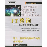 IT咨询12项关键指标剖析&mdash;&mdash;信息化经典书丛