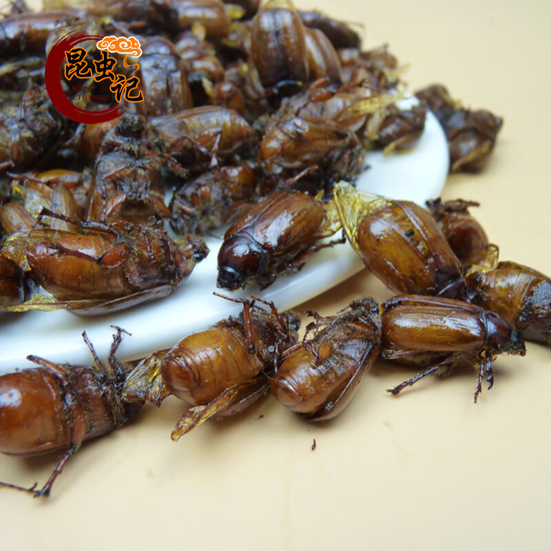 油炸棕色金龟子美味昆虫记宴黄亮红孩胖孩开袋即食炸虫子高蛋白 原味