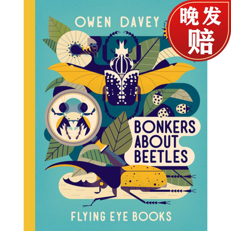 【4周达】bonkers about beetles