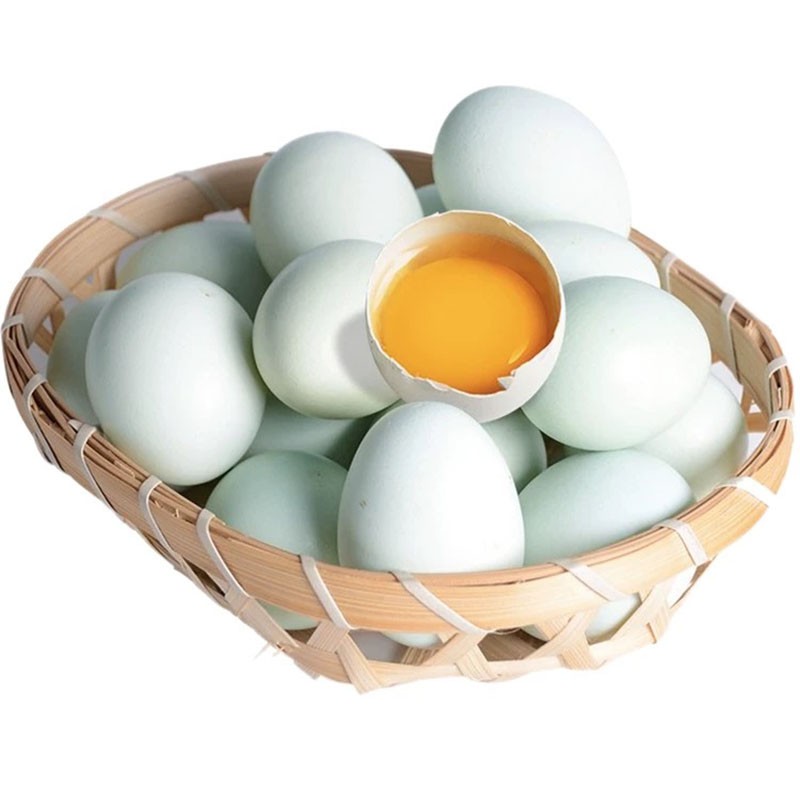 睿展 新鲜现捡乌鸡蛋鹌鹑蛋土鸡蛋谷物柴鸡蛋 笨鸡蛋生鲜 土鸡蛋 现捡绿壳乌鸡蛋10枚