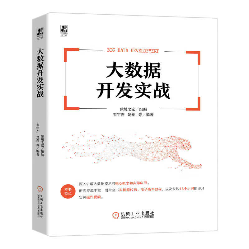 大数据开发实战详情图