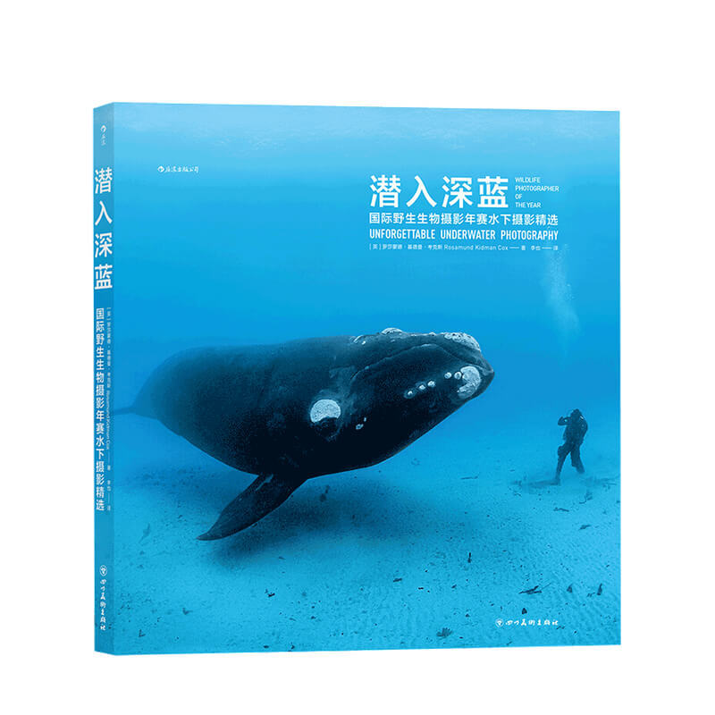 潜入深蓝 国际野生生物摄影年赛水下摄影精