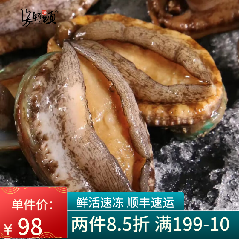 海鲜颂 活冻大鲍鱼 鲜活速冻海鲜水产 生鲜冷冻鲍鱼捞饭 贝类 火锅食材 500g (约8只)
