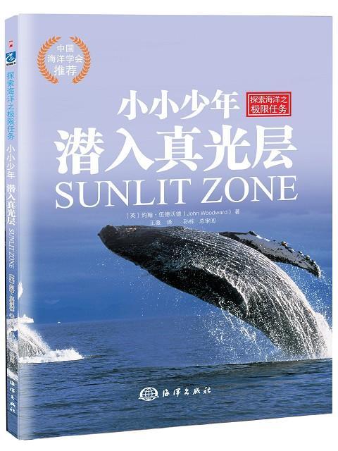 潜入真光层童书  图书