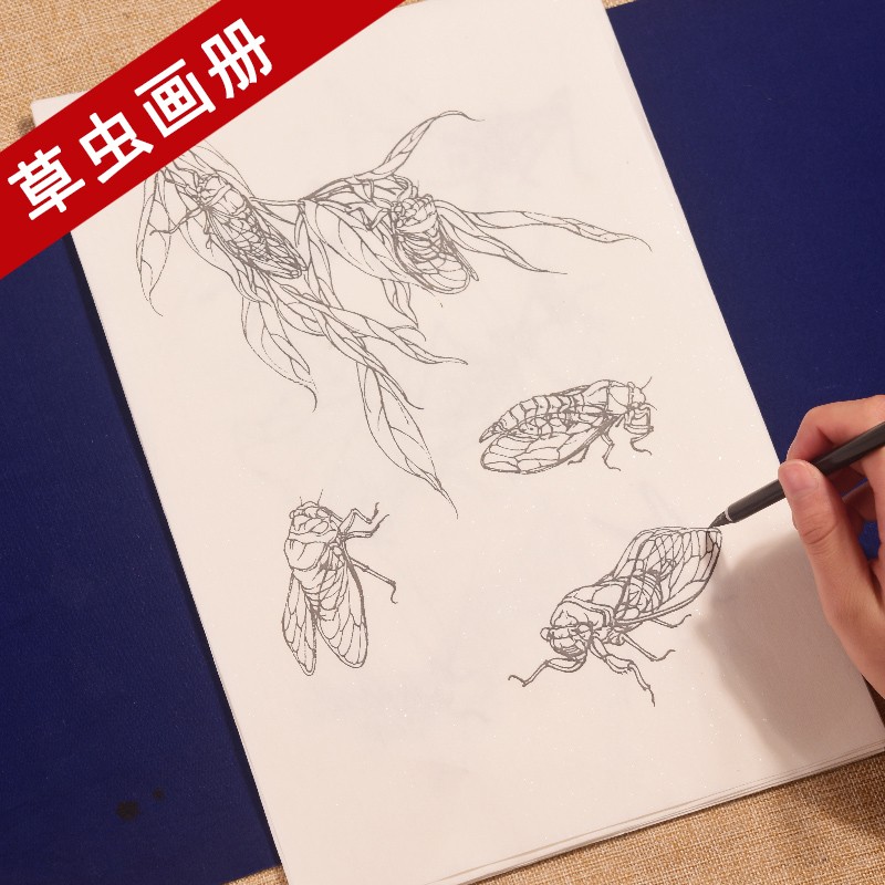 臻言工笔画底稿白描画稿草虫画册螳螂蝈蝈蜻蜓知了线描成品 初学者