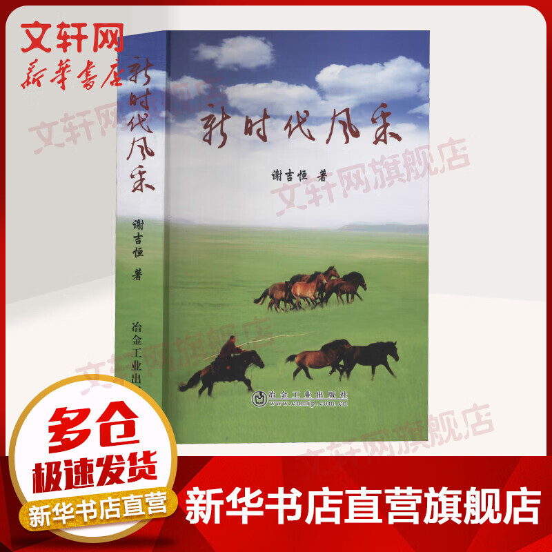 新时代风采 谢吉恒 冶金工业出版社 图书