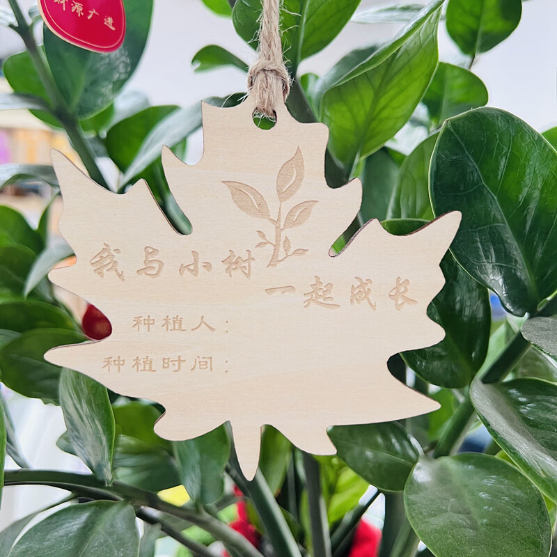 卡庭森(katingsen)10片定做木质挂牌 学校植树节吊牌 树木认养牌 植物