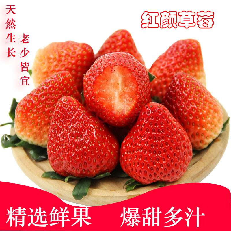 草莓 新鲜现摘 露天水果 新鲜水果 5斤装