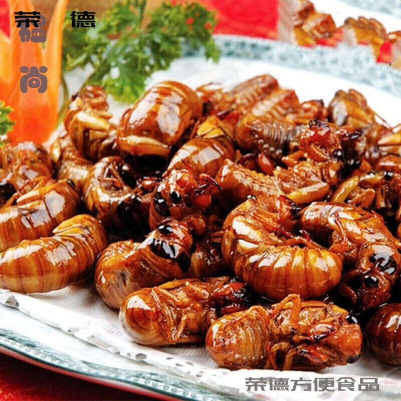 维霆金蝉知了猴约100只金蚕知了猴蝉蛹鲜活500g金蝉子(不支持拒收退