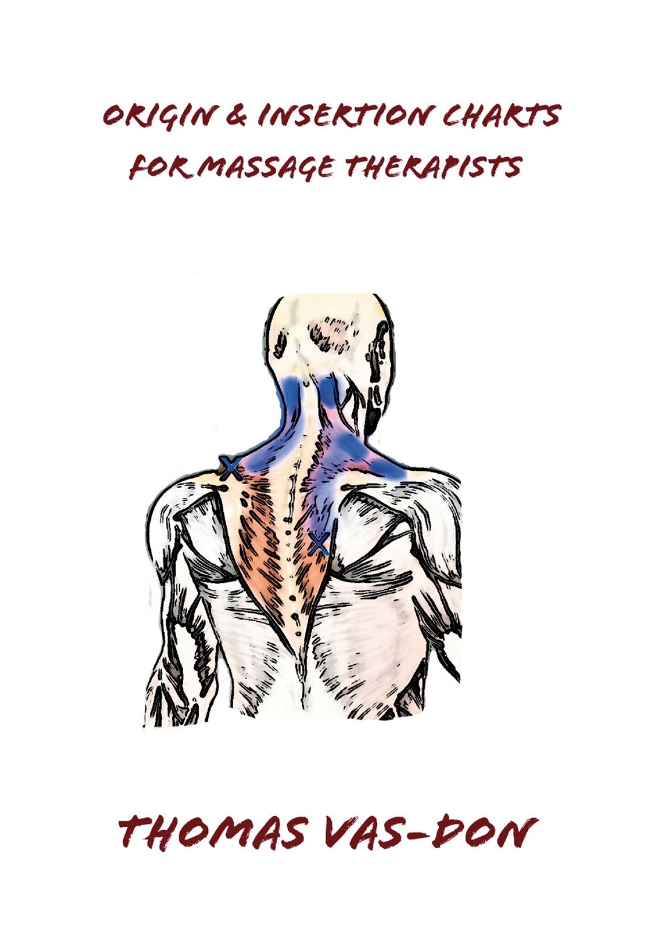 【预售按需印刷】origin & insertion charts for massage therapists