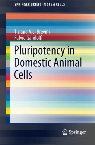 预订 pluripotency in domestic animal cells