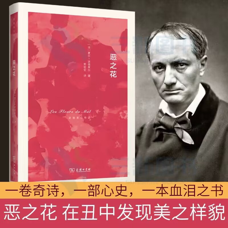 【官方正版】恶之花(精)/波德莱尔作品法国诗人诗歌代表作郭宏安译