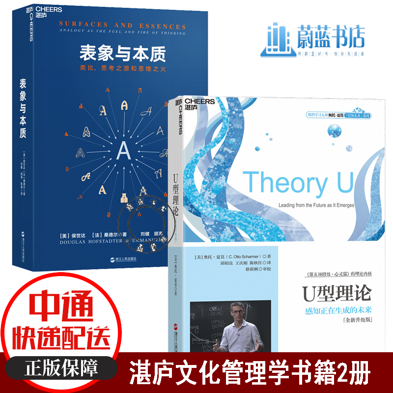 2册 表象与本质:类比,思考之源和思维之火 u型理论:感知正在生成的