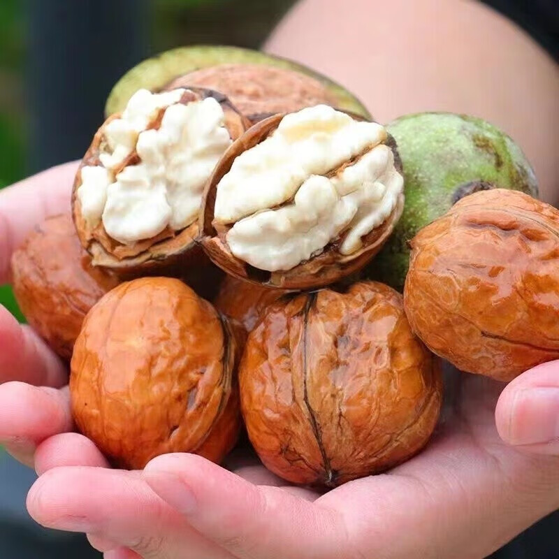 青尊园四川大凉山去青皮湿生核桃新鲜核桃孕妇核桃 500g 试吃装