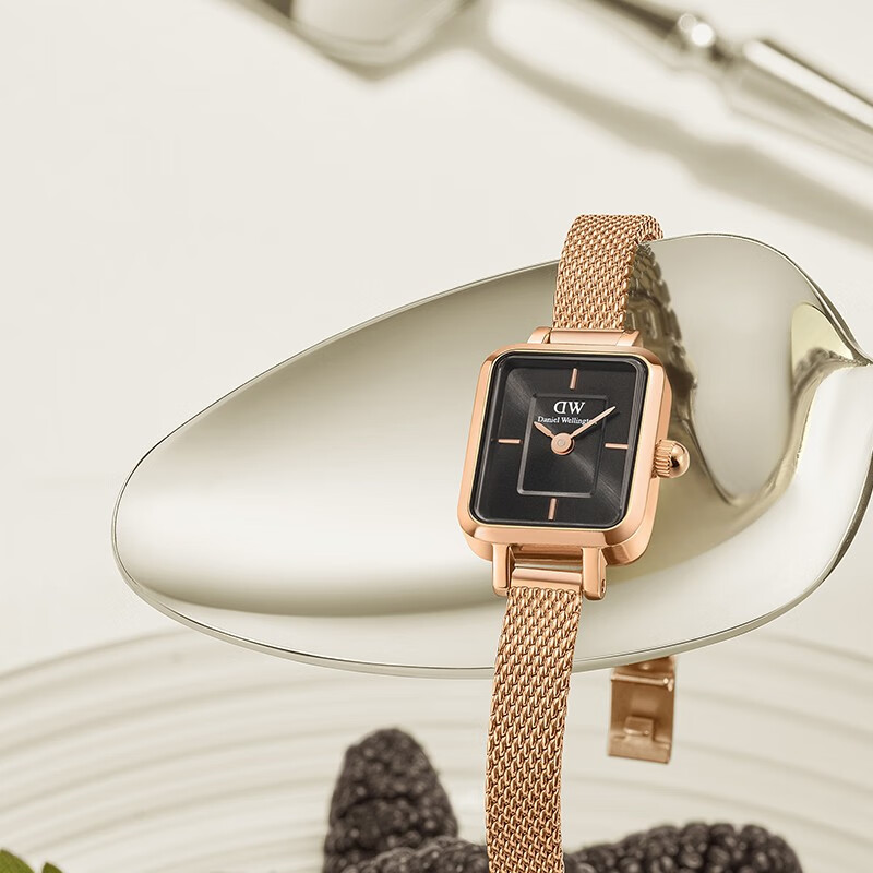 丹尼尔惠灵顿（DanielWellington）dw手表女 复古小方糖石英欧美腕表女士手表 七夕情人节礼物送女友 树莓黑