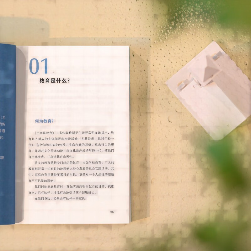 不内耗的教育（不用卷，也可以教出闪闪发光的孩子，一本给家长和教育工作者的答案之书）详情图