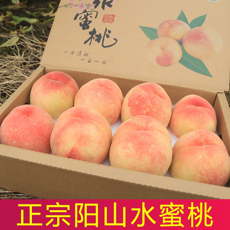 【现货】正宗无锡阳山水蜜桃礼盒装新鲜现摘孕妇水果精选桃子 1个尝鲜装