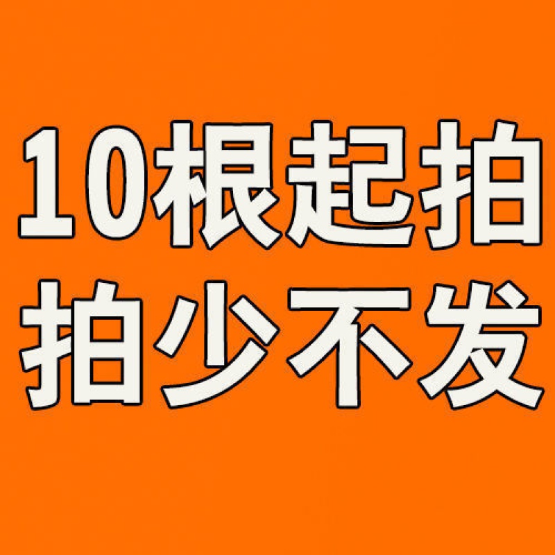网立柱荷兰网立柱尖头铁柱子加厚杆实心铸钢养殖牛羊圈
