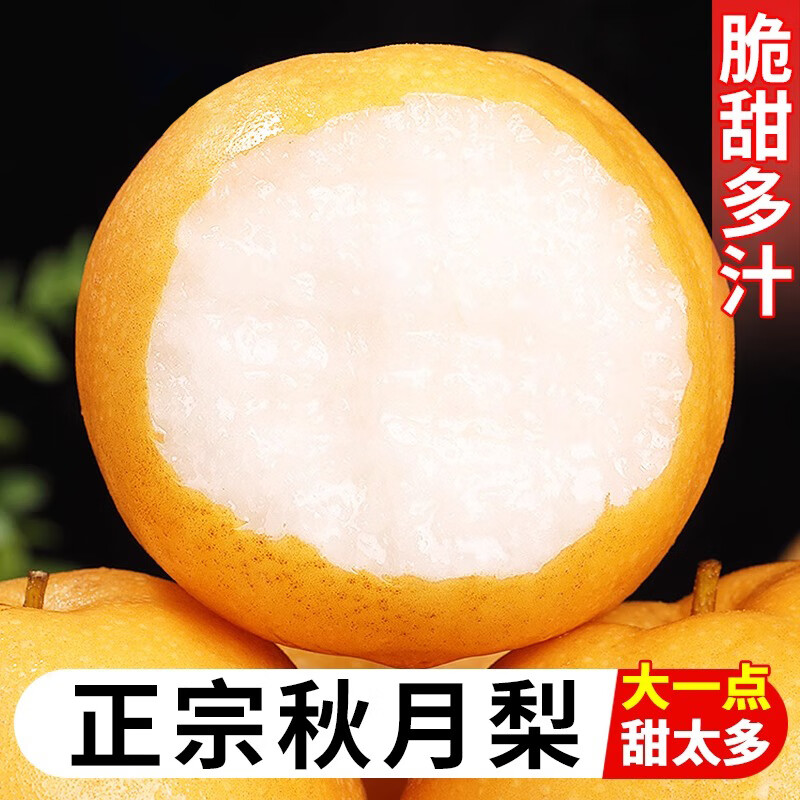 哪里可以查询梨历史价格|梨价格走势图