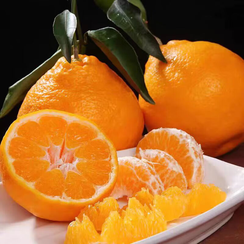 酷果汇春见粑粑柑新鲜现摘水果甄选品质彩箱礼品盒装产地直发5/8斤装 净重8斤【性价比高-全家爽吃】85MM+