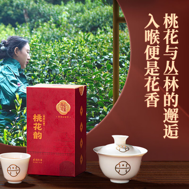 丹心可鉴 乡愁沈丹桃花韵红茶正山小种武夷山红茶50g装
