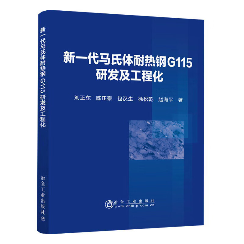 新一代马氏体耐热钢G115研发及工程化