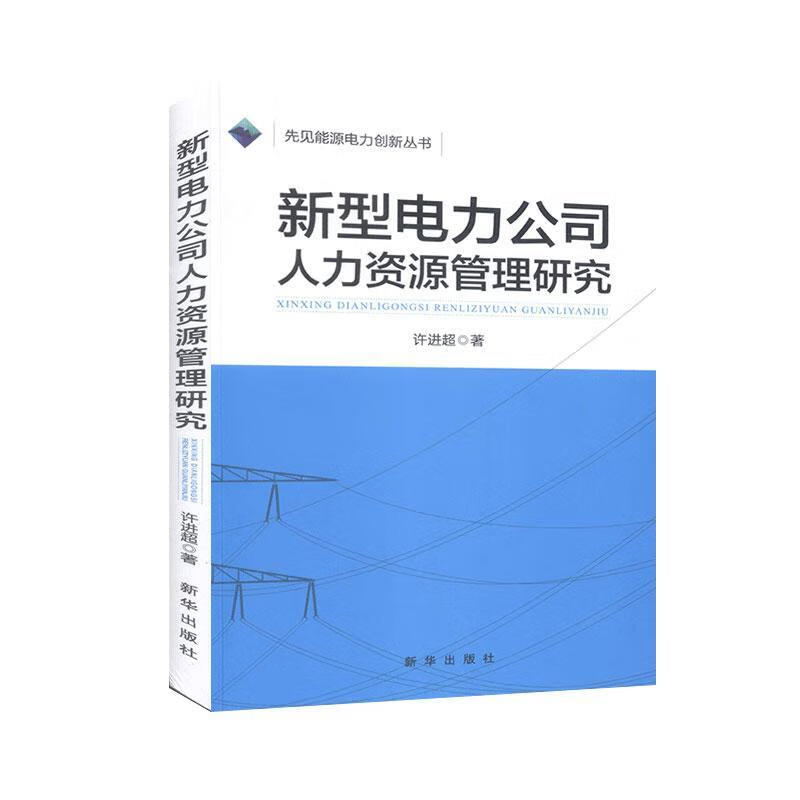新型电力公司人力资源管理研究