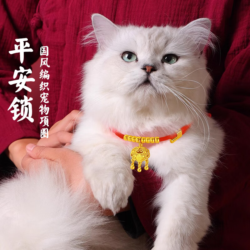 迪普尔猫项圈项链狗狗宠物长命锁猫咪项链铃铛挂绳狗牌猫牌饰品 M码【适合8-15斤左右宠物】