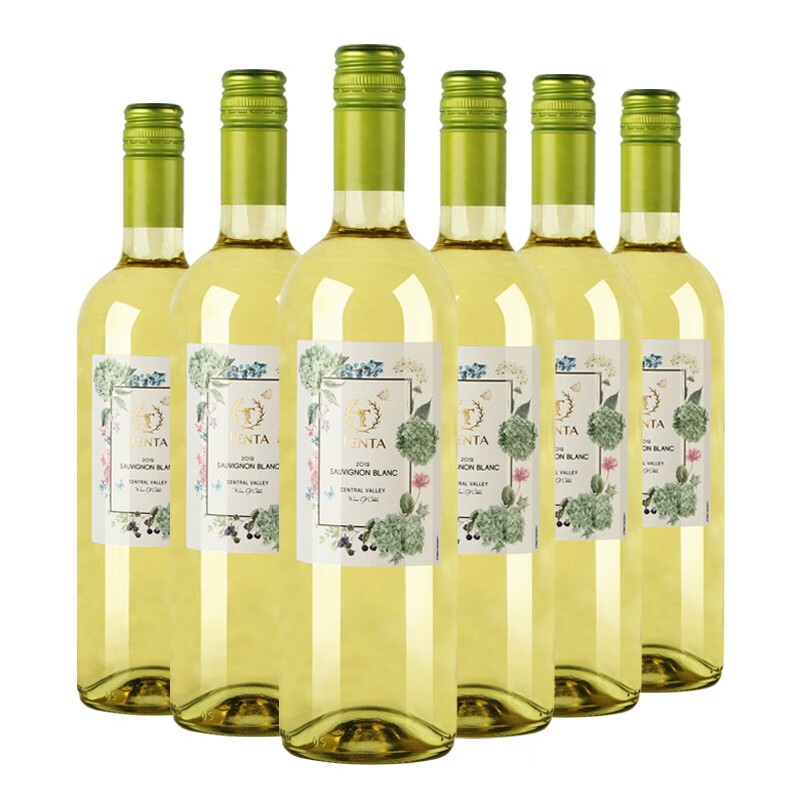 天帕智利中央山谷原瓶进口 长相思干白葡萄酒13度750ml*6瓶中秋送礼 整箱6瓶装 京东折扣/优惠券