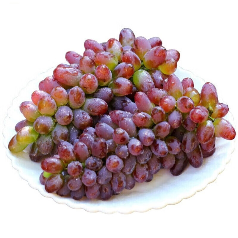 京诗悦茉莉香葡脆甜甘甜可口红提孕妇郁金香薄皮无籽提新鲜应当季水果