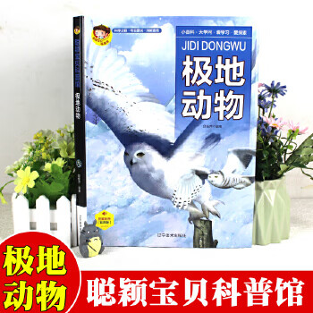 聪颖宝贝科普馆 极地动物