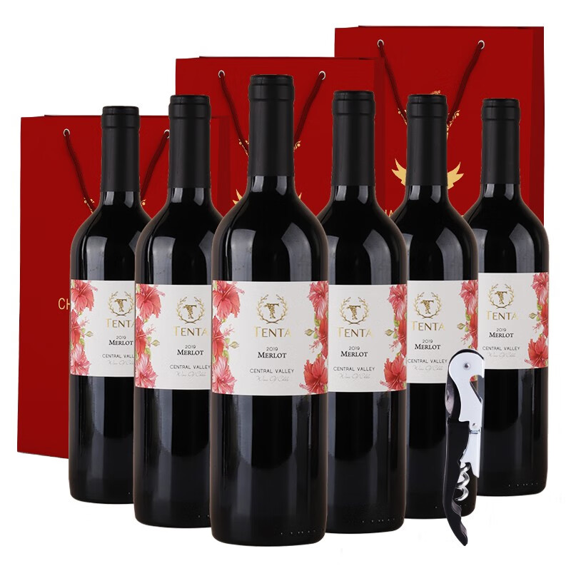 天帕（TENTA）智利中央山谷原瓶进口干红葡萄酒红酒品种级红酒750ml*6瓶 花标梅洛13.5度