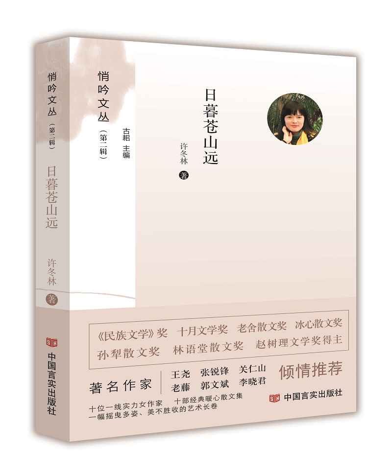 日暮苍山远  (悄吟文丛)