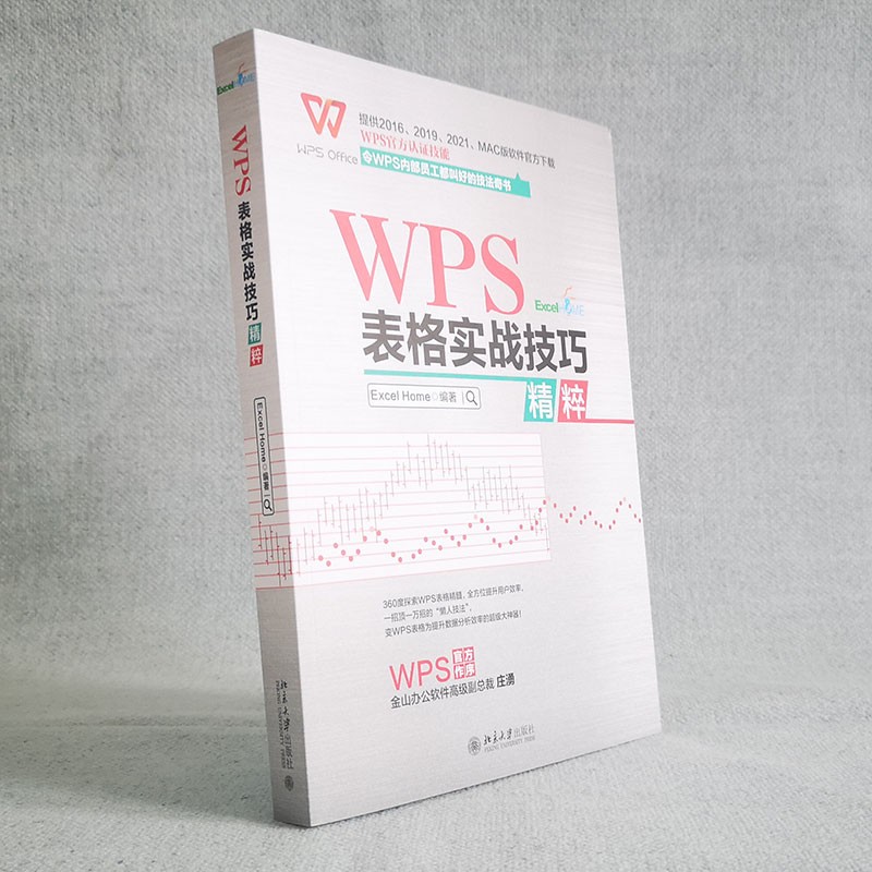 WPS表格实战技巧精粹 WPS官方认证 ExcelHome出品 全彩高效办公书