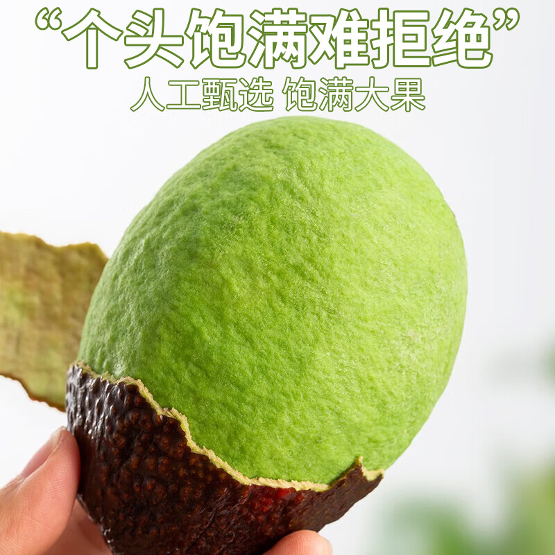 译优农【不熟包赔】云南孟连哈斯牛油果新鲜水果国产鳄梨大果健康轻食 8粒【单果100-130g】实惠中果