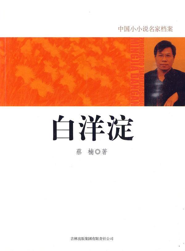 白洋淀蔡楠吉林出版集团有限责任公司9787546328416 小说书籍