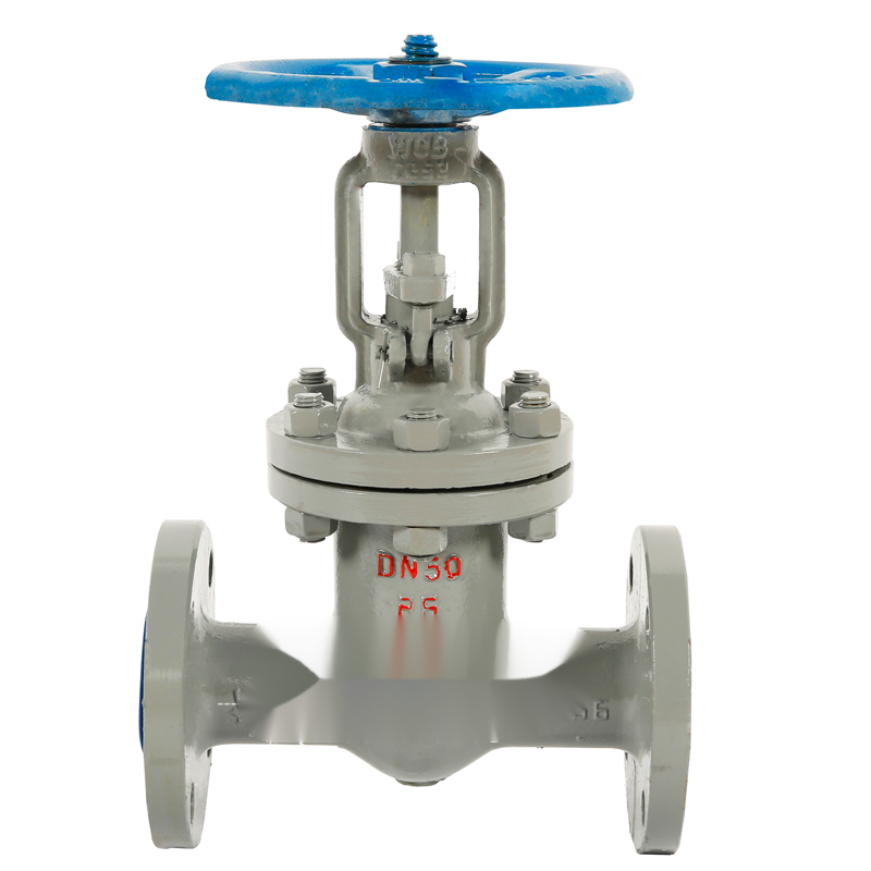 上海沪工阀门z41h-1625c铸钢法兰闸阀高温蒸汽锅炉导热油dn50 100