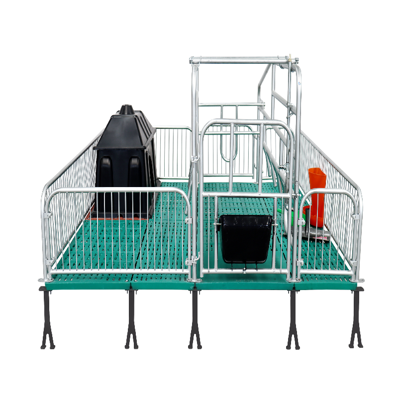 5单双体猪产床产保一体两用床定限位栏小猪保育床 【标配】2.