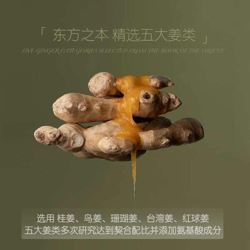 DR.GAFON加芬博士 生姜草本氨基酸洗发水 生姜草本氨基酸修护乳 绿色 生姜草本氨基酸洗发水500g