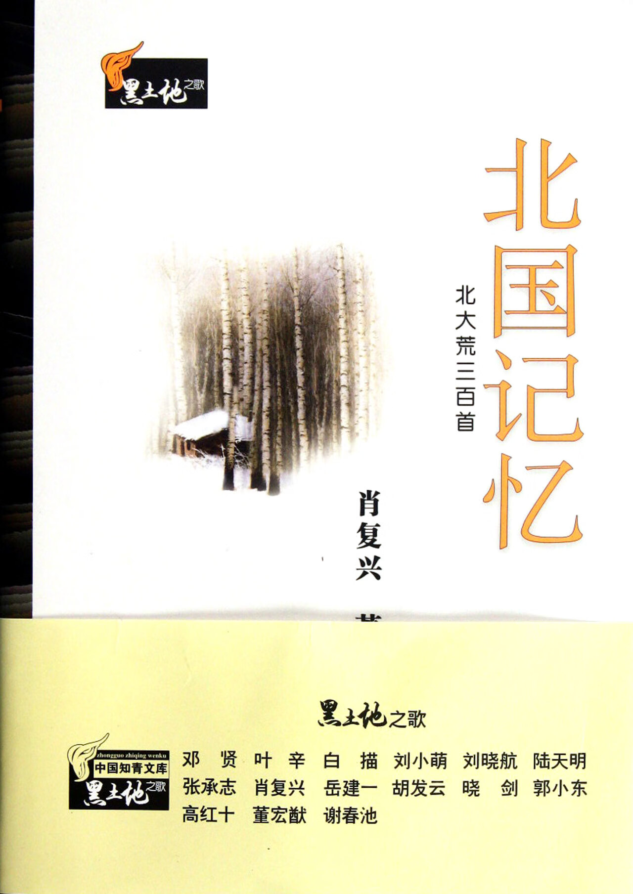 肖复兴 9787307097612 武汉大学 文学/作品集