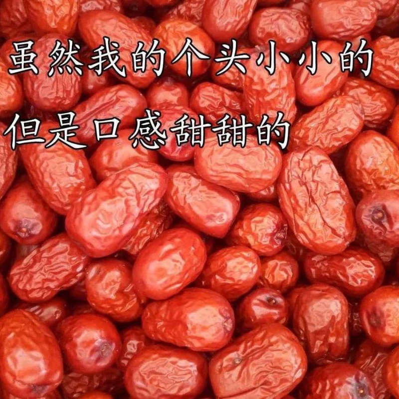 新货,沧州小红枣农家自产自销孕妇零食金丝小枣散装红枣子 红枣1斤