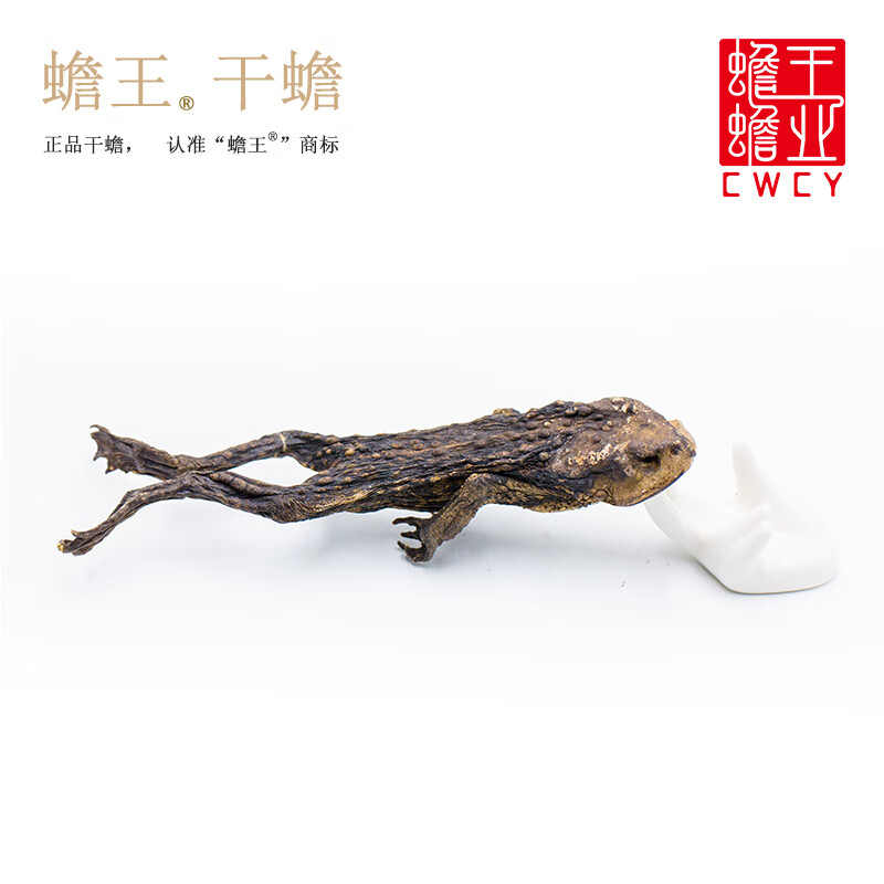 蟾王干蟾蜍中药材 干蟾蜍个癞蛤蟆干未取浆干蟾免费打粉 蟾王优质干