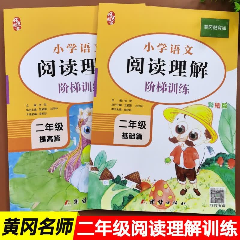 二年级阅读理解专项训练书人教版（全两册）适用于2年上下册衔接练习黄冈语文名师编写