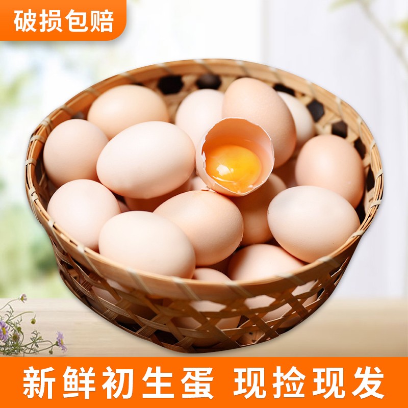 黄河畔 新鲜土鸡蛋初生蛋柴鸡蛋 农家现捡 10枚装